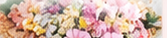 花葬送り セルフ
